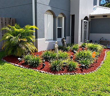 Lawn Maintenance