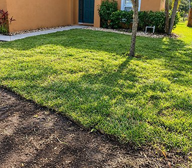 Sod Installation
