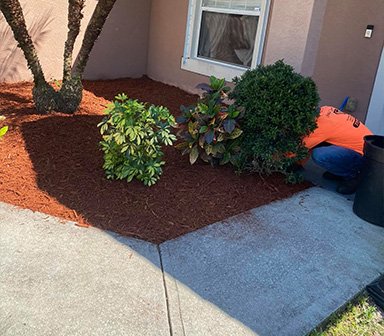 Paver Services