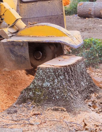 Stump Grinding