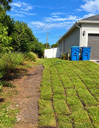 Grading & Sod Installation