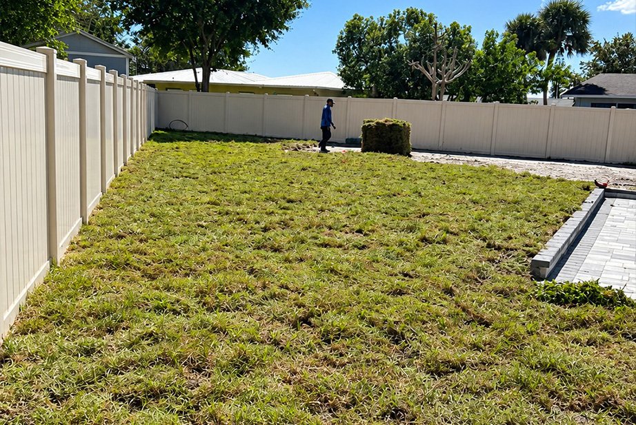 Backyard Clearing and Pressure Washing