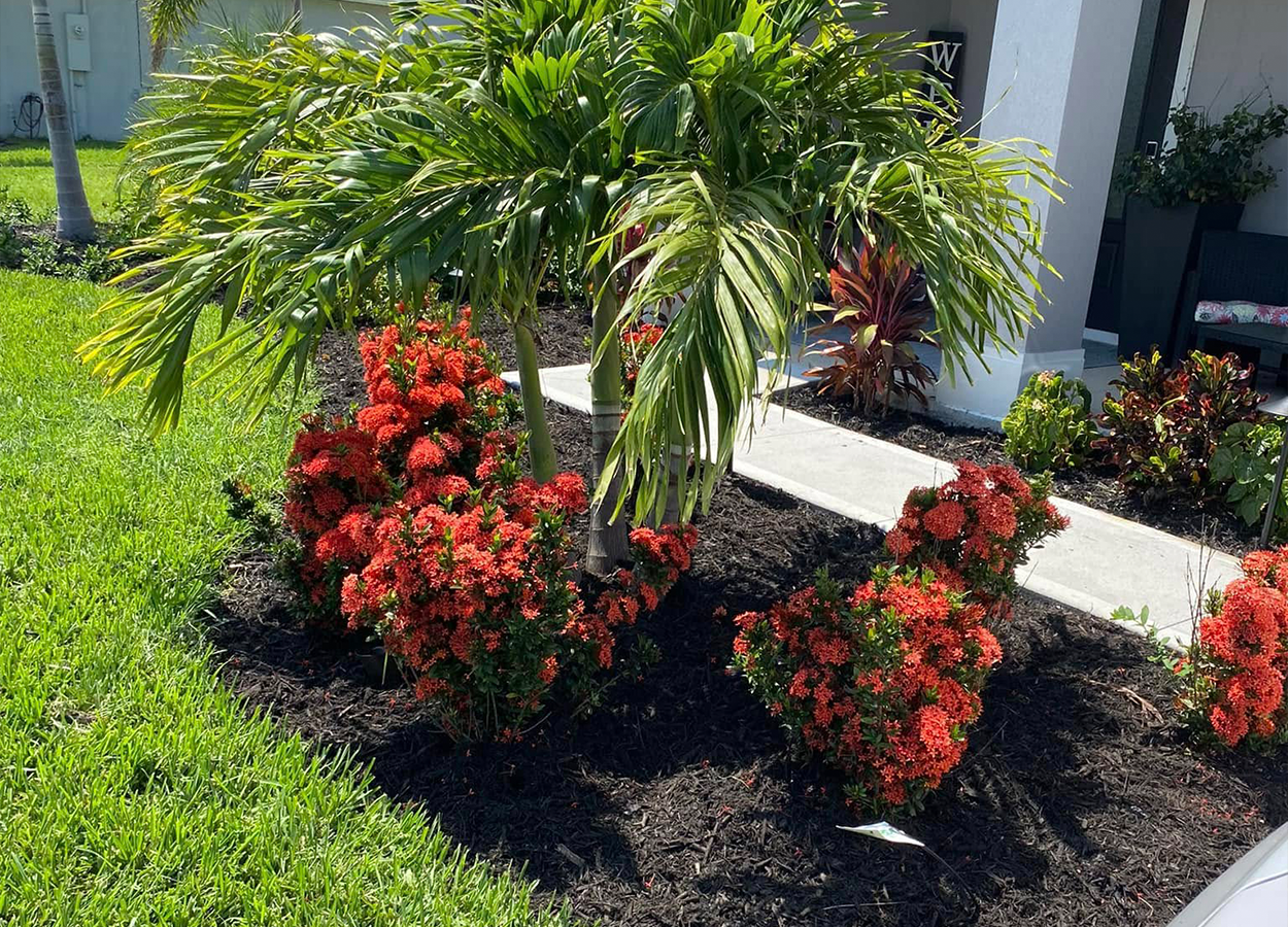 Flower Bed Cleanup