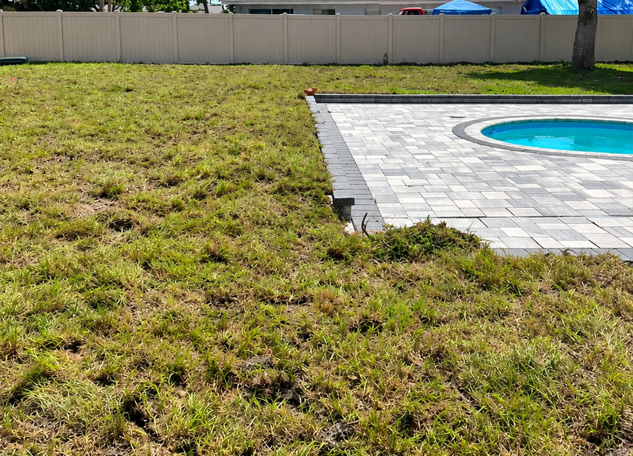 Mowing & Mulching Service