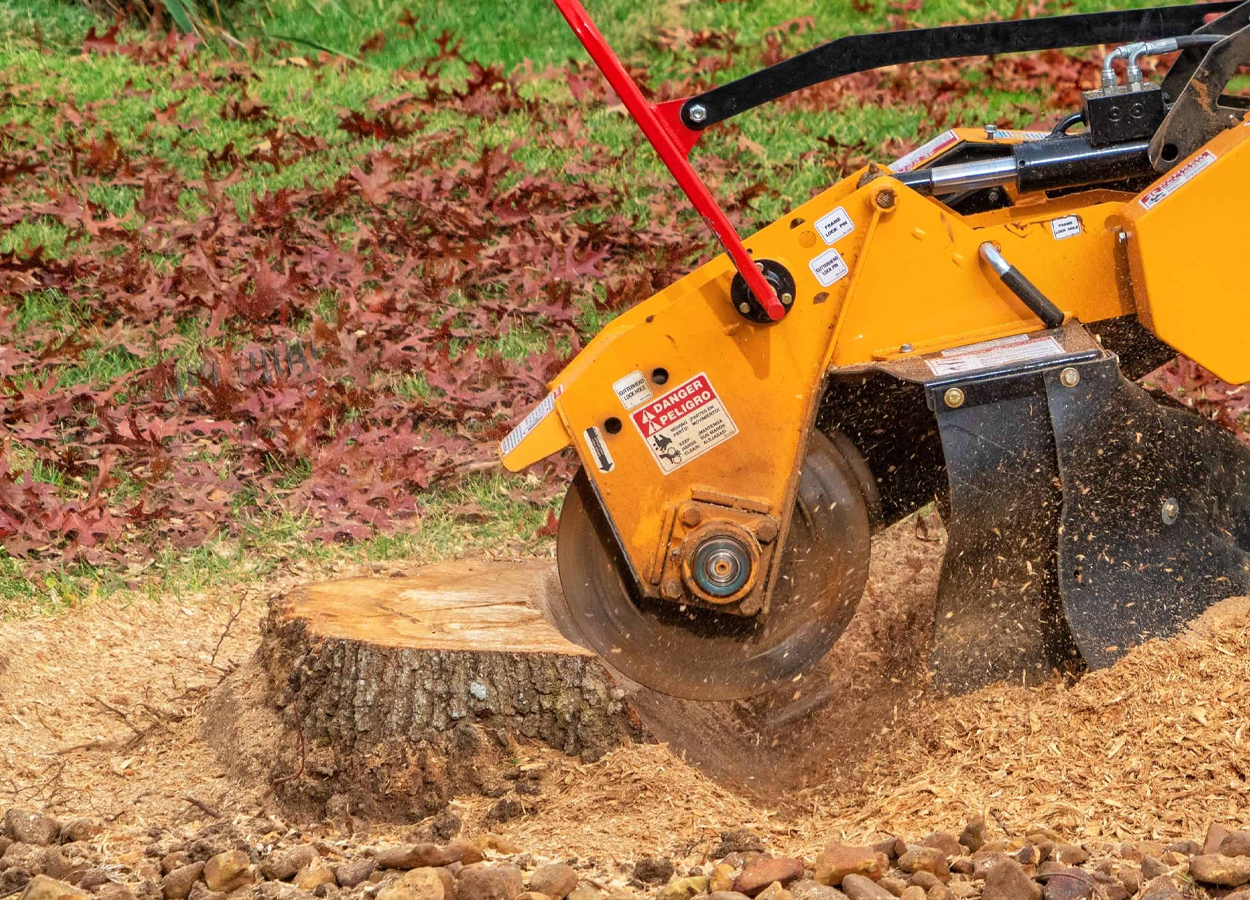 Stump Grinding Service